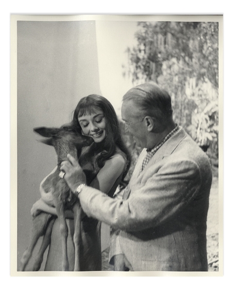 Audrey Hepburn Personally Owned 8'' x 10'' Production Still From ''Green Mansions'' -- Hepburn Is Shown With ''Ip'' the Deer